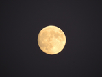  DSCN1171 (700x525, 223Kb)