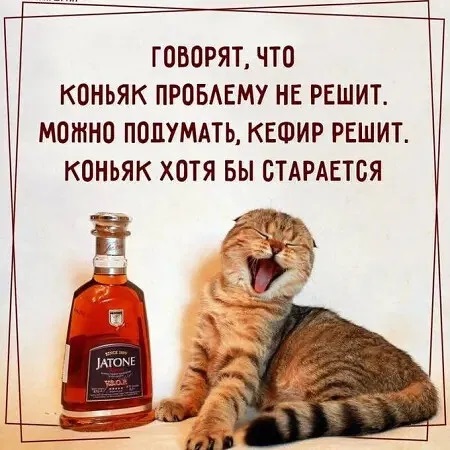 4743317_i_webpr (450x450, 76Kb)