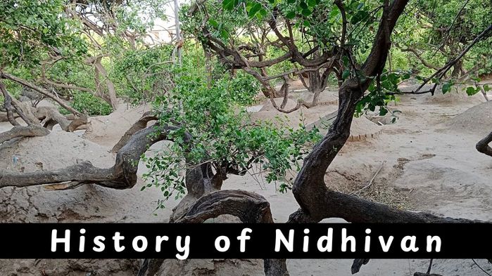 History of Nidhivan (700x393, 96Kb)
