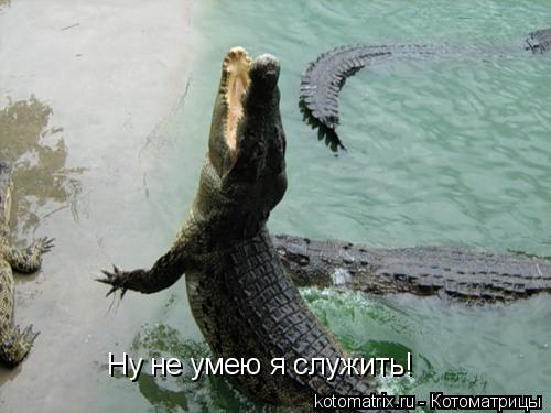 4743317_v5_ (500x375, 31Kb)