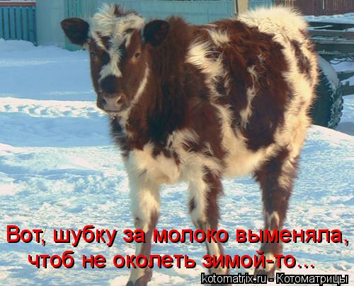 4743317_QN (500x405, 46Kb)