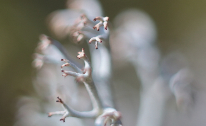 00000199 (700x430, 156Kb)