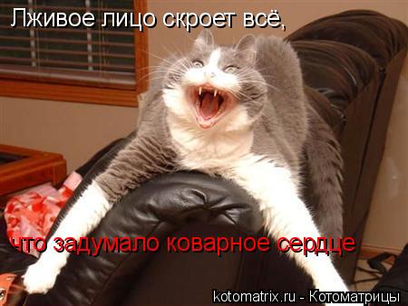4743317_yT (450x338, 29Kb)