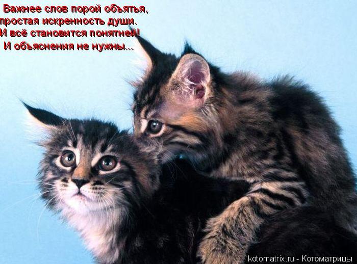 4743317_4p (700x518, 60Kb)