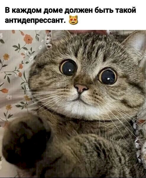 4743317_72bb7417 (494x600, 79Kb)