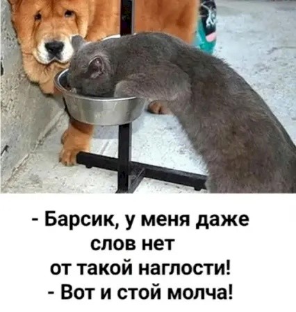 4743317_9a5aaa7d (426x450, 44Kb)