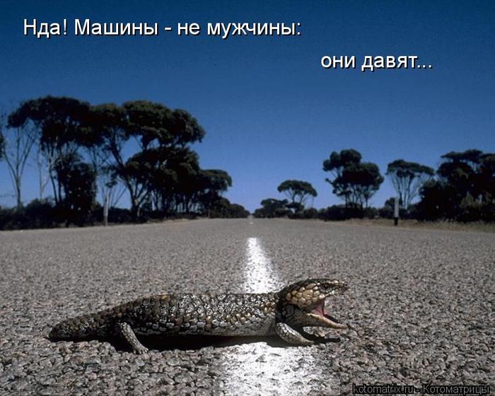 4743317_p2 (700x560, 69Kb)