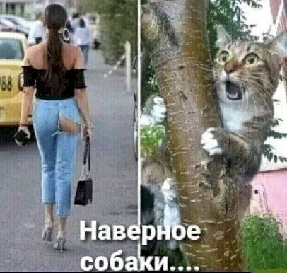 4743317_69f6eecc (406x386, 52Kb)