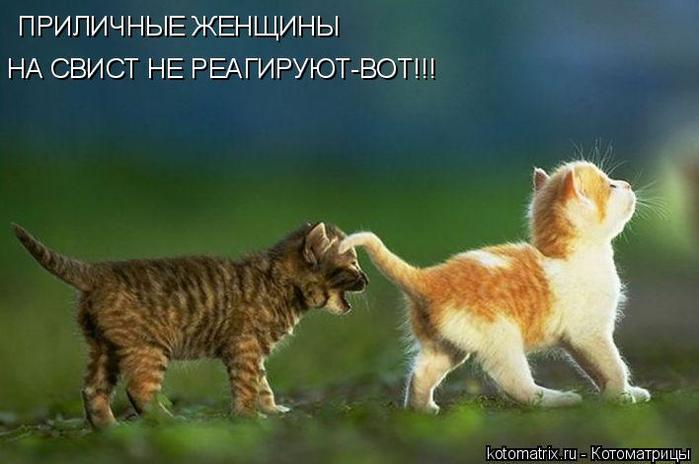 4743317_hS (700x464, 37Kb)