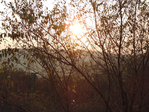  DSCN8541 (700x525, 654Kb)