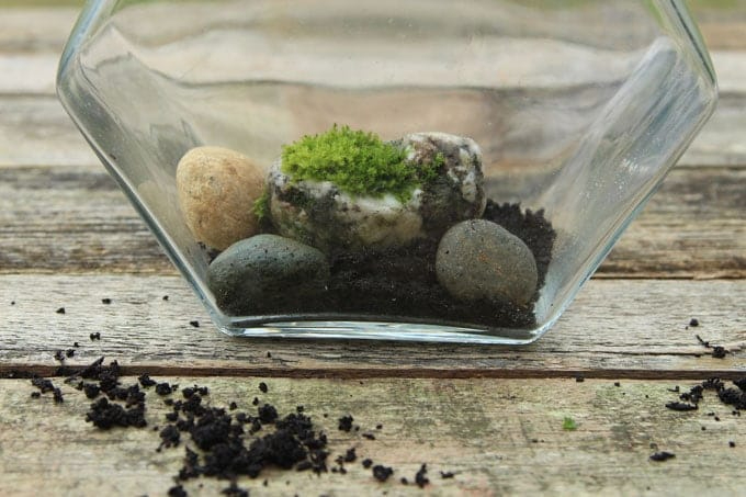 DIY-terrarium-apieceofrainbowblog-3 (680x453, 200Kb)