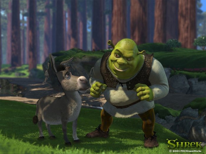 4743317_SHREK015 (700x525, 59Kb)