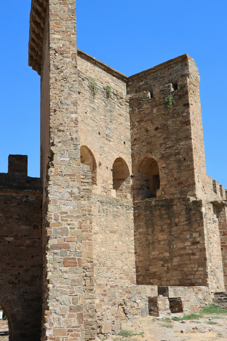 IMG_0801 (466x700, 477Kb)