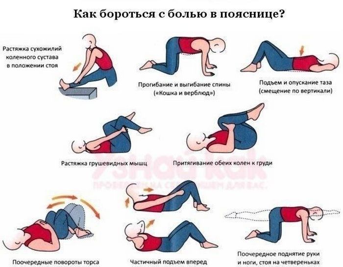 3109898_Ypr_Zdor_dlya_poyasnici (700x546, 58Kb)