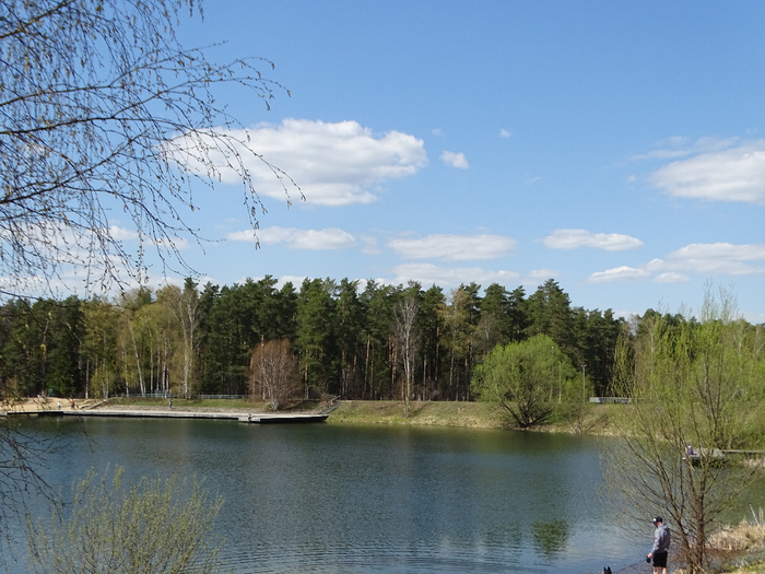 DSC00424 (700x525, 435Kb)
