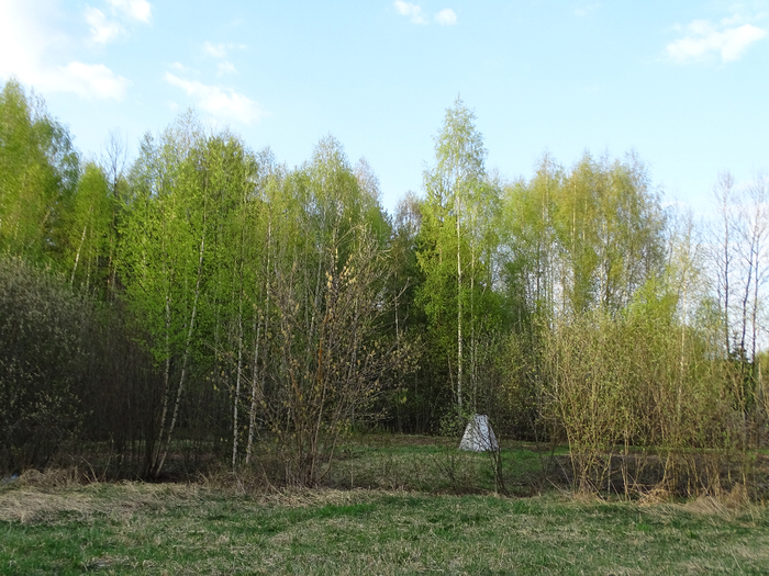 DSC00540 (700x525, 471Kb)