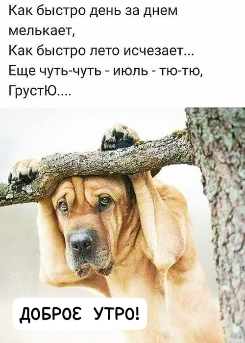 как быстро лето исчезает (500x700, 265Kb)