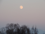  DSCN8777 (700x525, 269Kb)