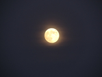  DSCN8814 (700x525, 227Kb)