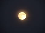 DSCN8819 (700x525, 217Kb)