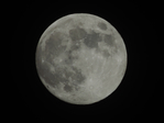  DSCN8824 (700x525, 152Kb)