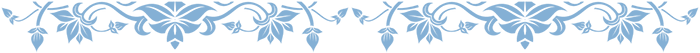zx (700x53, 14Kb)