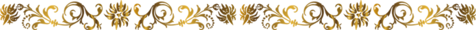 ro (700x45, 70Kb)