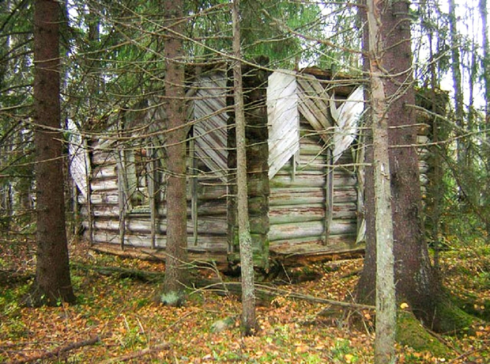 Рыкшино, урочище. Часовня, кон. XIX - нач. ХХ вв. (700x520, 515Kb)