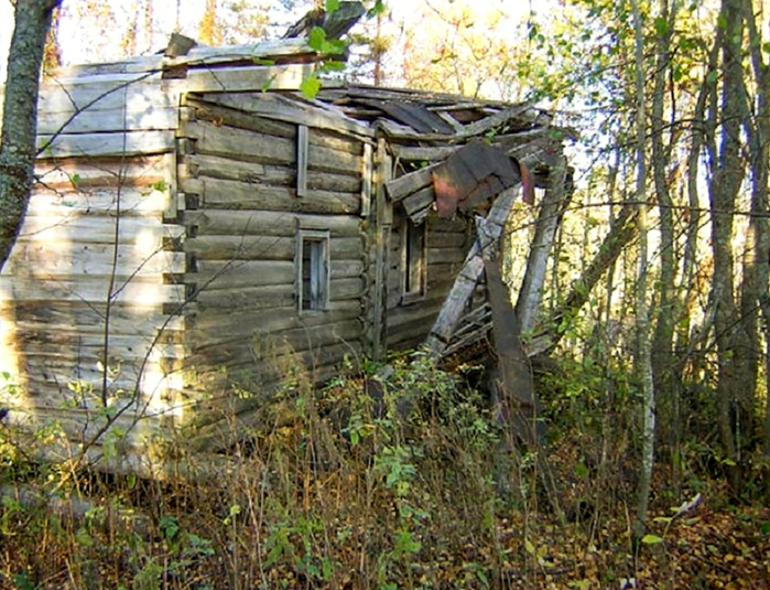 Мишаковская, урочище. Часовня Николая Чудотворца, XIX в. (700x535, 505Kb)