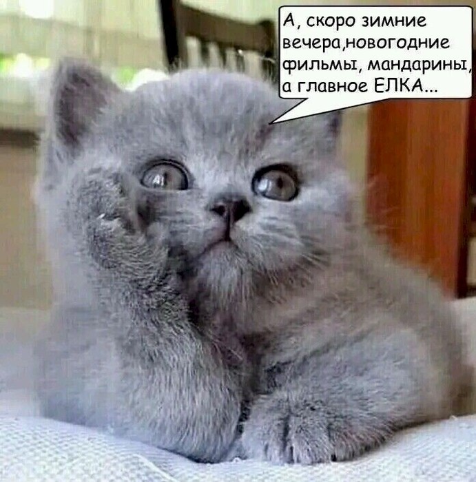 https://img1.liveinternet.ru/images/attach/d/4/163/325/163325783_4743317_059d88c7.jpg