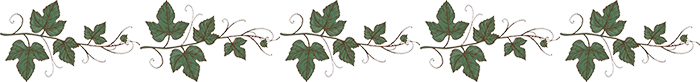 lvb (700x82, 48Kb)