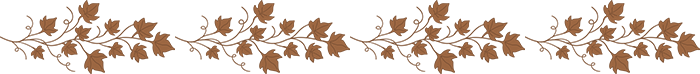 vlbn (700x74, 16Kb)
