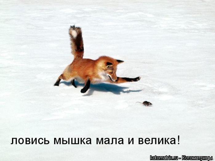 4743317_4F (700x524, 36Kb)