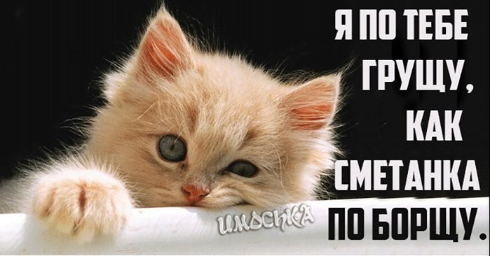 4743317_163315461_Po_tebe_gruschu_kak_smetanka_po_borschu (699x366, 50Kb)