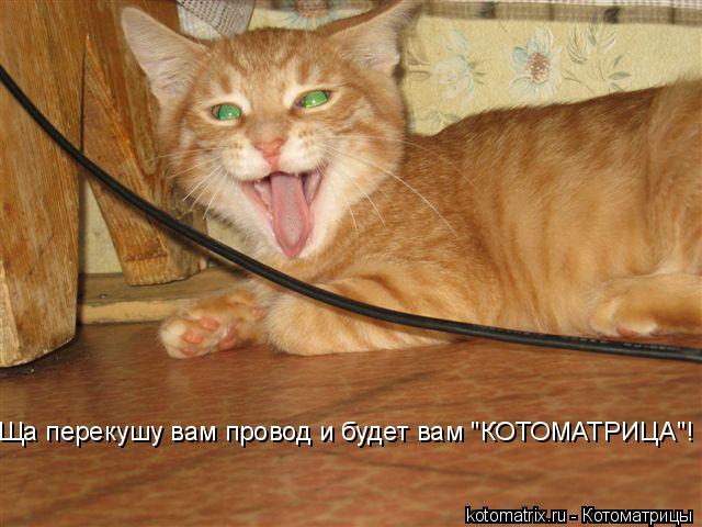 4743317_N3 (640x480, 53Kb)