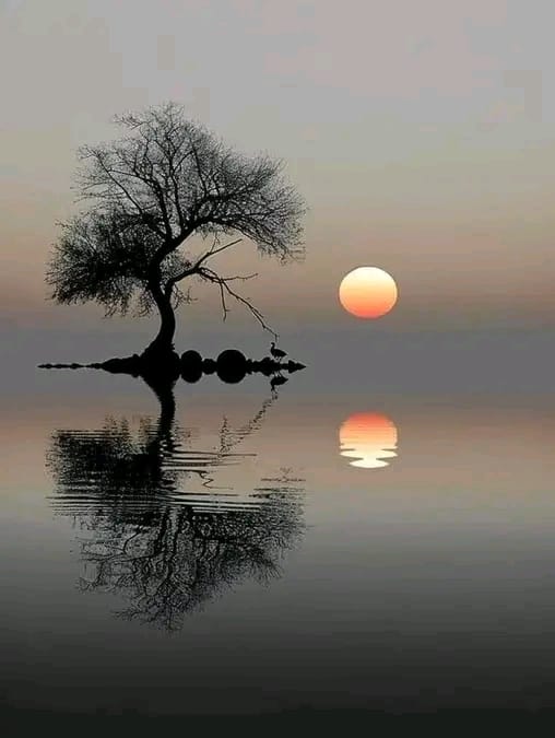 https://img1.liveinternet.ru/images/attach/d/4/163/341/163341243_3416556_467838837_556694350660563_7177337438044094194_n.jpg
