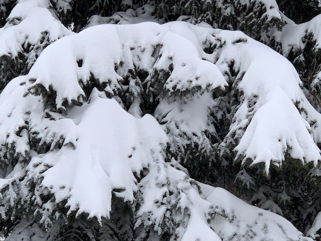 IMG_9700 (640x480, 252Kb)