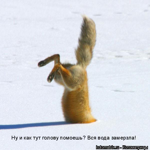 4743317_bS (600x600, 36Kb)