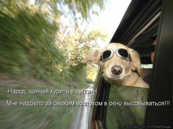 4743317_9C (700x524, 50Kb)