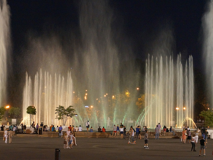 DSC006722 (700x525, 117Kb)
