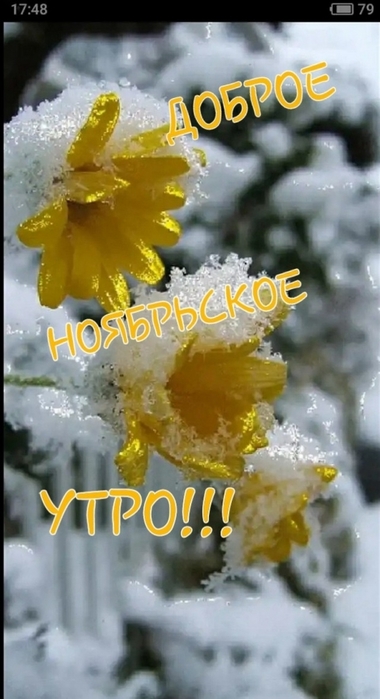 4743317_1543002479215_10 (380x700, 177Kb)