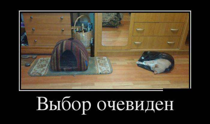 4743317_1441602047_19 (700x412, 27Kb)