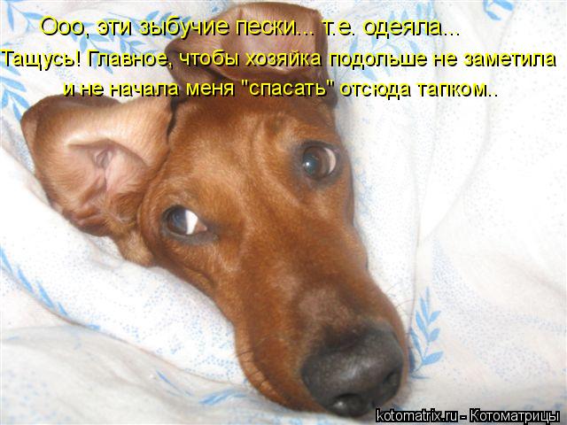 4743317_4a (640x480, 53Kb)