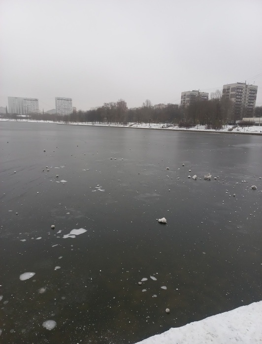 20241128_134319 (532x700, 69Kb)
