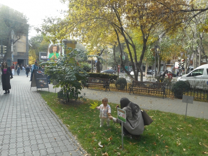 4878453_DSCN8569abo (700x525, 344Kb)