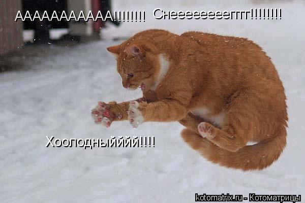 4743317_TC_jpgav (600x400, 31Kb)