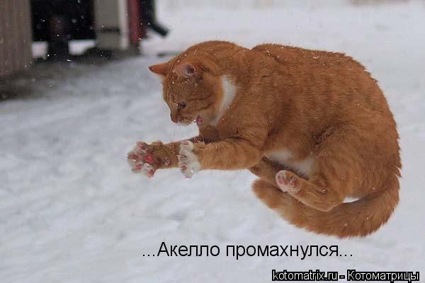 4743317_TC_2 (600x400, 26Kb)