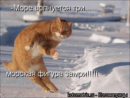 4743317_rc_1 (450x338, 29Kb)
