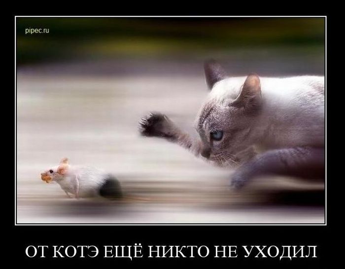 4743317_demotivatory_40 (700x545, 43Kb)