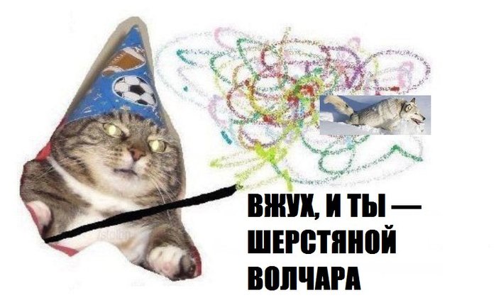 4743317_C3leSizWEAQ4Kpd (700x430, 55Kb)